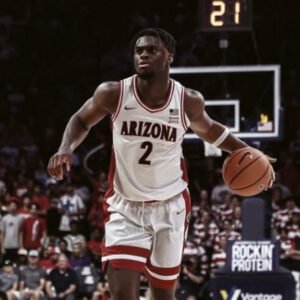 Arizona Wildcats (NCAA)